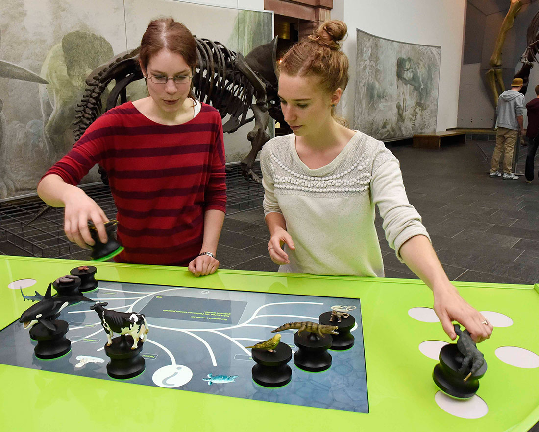 Tangible User Interface